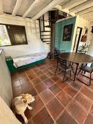 https://img.olx.com.br/thumbs256x256/32/328535645123214.jpg