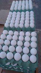 Título do anúncio: Marinho destribuidora de ovo 