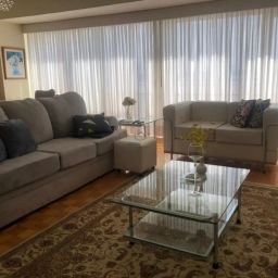 https://img.olx.com.br/thumbs256x256/32/329507407287011.jpg