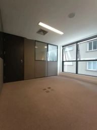 https://img.olx.com.br/thumbs256x256/32/329527403496013.jpg
