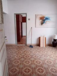 https://img.olx.com.br/thumbs256x256/32/329529011712030.jpg