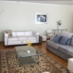 https://img.olx.com.br/thumbs256x256/32/329560522591229.jpg