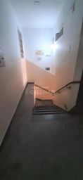 https://img.olx.com.br/thumbs256x256/32/329566280956909.jpg