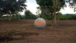 Título do anúncio: Fazenda à venda, 378 alqueires por R$ 47.000.000 - Divinópolis do Tocantins/TO