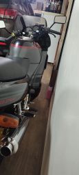 https://img.olx.com.br/thumbs256x256/33/330563153029923.jpg