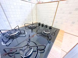 https://img.olx.com.br/thumbs256x256/33/330635553417849.jpg