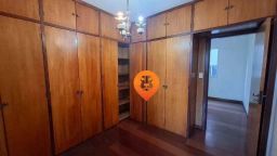 https://img.olx.com.br/thumbs256x256/33/331514529751073.jpg