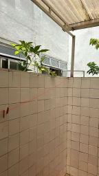 https://img.olx.com.br/thumbs256x256/33/331571766391933.jpg