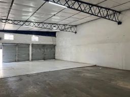 https://img.olx.com.br/thumbs256x256/33/331592275236971.jpg