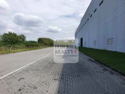 https://img.olx.com.br/thumbs256x256/33/331597281623465.jpg