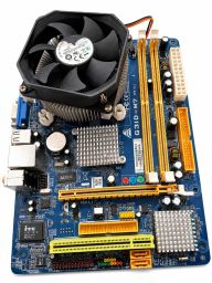 https://img.olx.com.br/thumbs256x256/33/331610562185503.jpg
