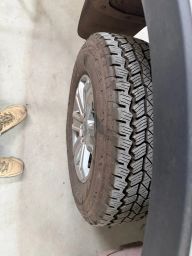 https://img.olx.com.br/thumbs256x256/33/331627927052267.jpg