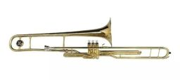https://img.olx.com.br/thumbs256x256/33/332454760007429.jpg