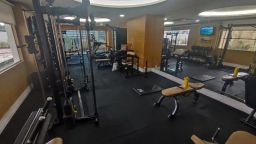 https://img.olx.com.br/thumbs256x256/33/332462663910428.jpg