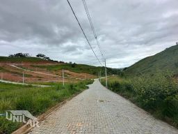 https://img.olx.com.br/thumbs256x256/33/332505040007695.jpg