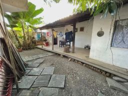 https://img.olx.com.br/thumbs256x256/33/332550878495027.jpg