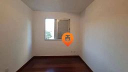 https://img.olx.com.br/thumbs256x256/33/332558526875295.jpg