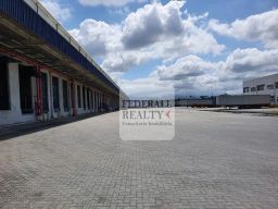 https://img.olx.com.br/thumbs256x256/33/333511404572116.jpg