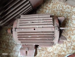 https://img.olx.com.br/thumbs256x256/33/333535400470776.jpg
