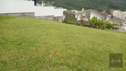 https://img.olx.com.br/thumbs256x256/33/333550649596368.jpg