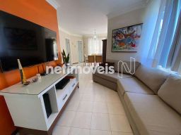 https://img.olx.com.br/thumbs256x256/33/333577286105525.jpg