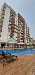 https://img.olx.com.br/thumbs256x256/33/334504525781254.jpg