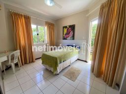 https://img.olx.com.br/thumbs256x256/33/334516163184590.jpg