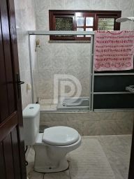 https://img.olx.com.br/thumbs256x256/33/334555392534961.jpg