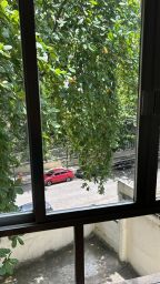 https://img.olx.com.br/thumbs256x256/33/334568524668171.jpg