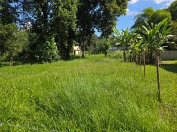 https://img.olx.com.br/thumbs256x256/33/334573524319254.jpg