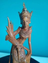 https://img.olx.com.br/thumbs256x256/33/334593286726022.jpg