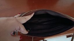 https://img.olx.com.br/thumbs256x256/33/334631895287487.jpg