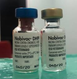 Título do anúncio: Vendo primeira dose da vacina de filhote de cachorro Nobivac