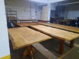 https://img.olx.com.br/thumbs256x256/33/335491745658238.jpg