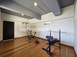 https://img.olx.com.br/thumbs256x256/33/335502401690472.jpg