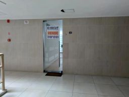 https://img.olx.com.br/thumbs256x256/33/335507765484726.jpg