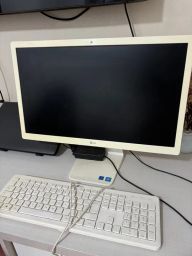 https://img.olx.com.br/thumbs256x256/33/335524721295598.jpg
