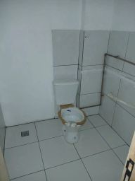 https://img.olx.com.br/thumbs256x256/33/335547169339465.jpg
