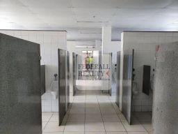 https://img.olx.com.br/thumbs256x256/33/335548762379910.jpg