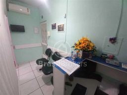 https://img.olx.com.br/thumbs256x256/33/335555640344394.jpg