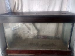 https://img.olx.com.br/thumbs256x256/33/335576139670221.jpg
