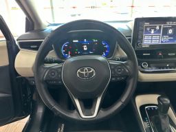 https://img.olx.com.br/thumbs256x256/33/335586880819187.jpg
