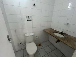 https://img.olx.com.br/thumbs256x256/33/335609775313104.jpg