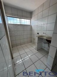 https://img.olx.com.br/thumbs256x256/33/336519756227437.jpg
