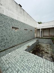 https://img.olx.com.br/thumbs256x256/33/336526519935568.jpg