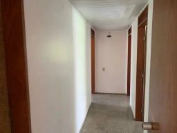 https://img.olx.com.br/thumbs256x256/33/336545169078444.jpg
