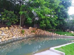 https://img.olx.com.br/thumbs256x256/33/336579649060403.jpg