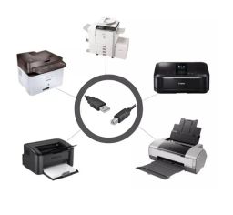 https://img.olx.com.br/thumbs256x256/33/336663055735047.jpg