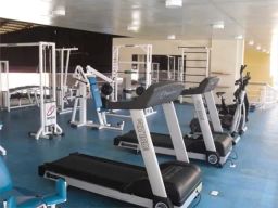 https://img.olx.com.br/thumbs256x256/33/337507521923657.jpg