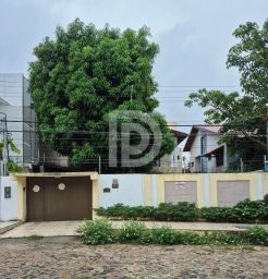 https://img.olx.com.br/thumbs256x256/33/337511394075907.jpg